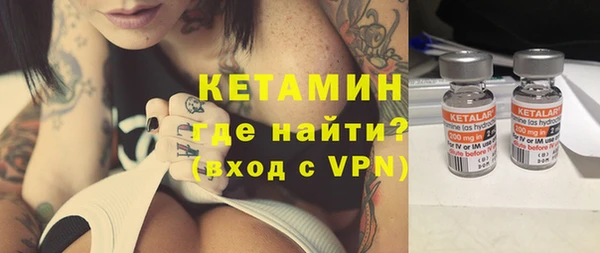 крисы Бородино