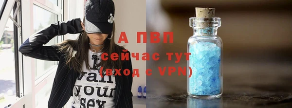 стаф Верея