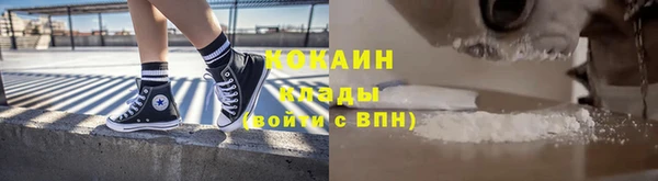 стаф Верея
