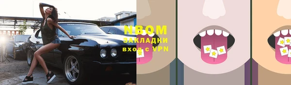 стаф Верея