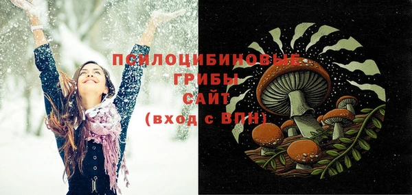 МДПВ Волосово