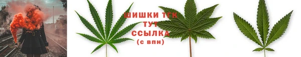 стаф Верея