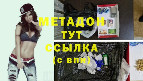 стаф Верея