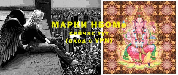 стаф Верея