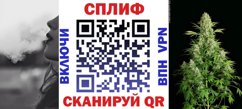 магазин продажи наркотиков  Высоцк  Конопля сатива 
